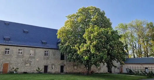 Innenhof